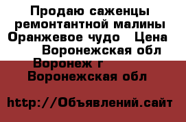 Продаю саженцы ремонтантной малины Оранжевое чудо › Цена ­ 160 - Воронежская обл., Воронеж г.  »    . Воронежская обл.